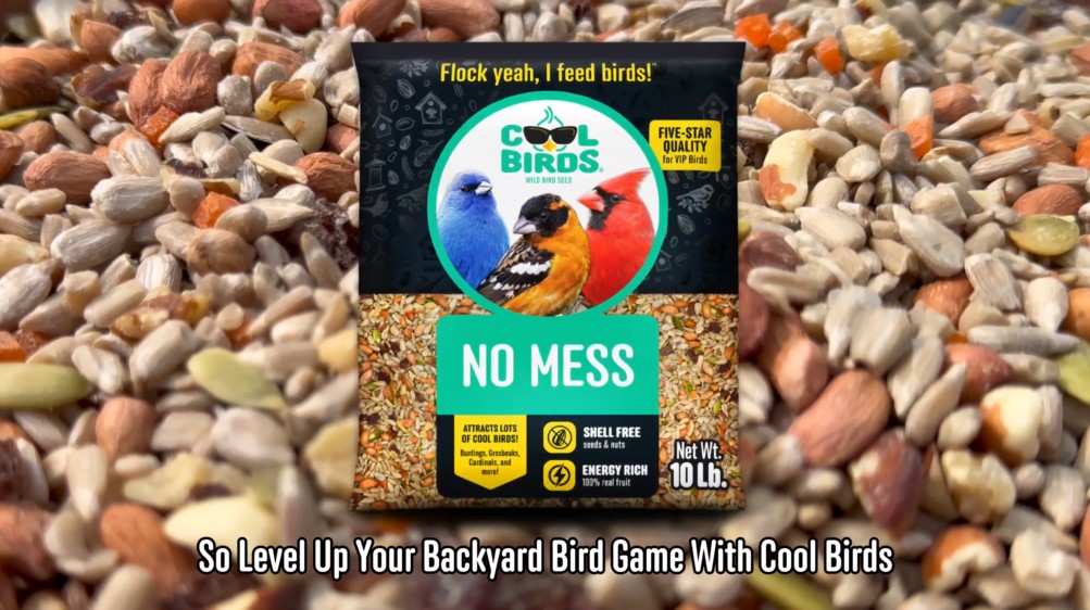 Amazon.com : Cool Birds No Mess Wild Bird Seed, 10 lb | 100